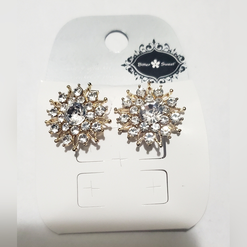 Bittersweet Snowflake/Flower Earrings